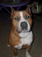 /album/photogallery/a004-jpg1/